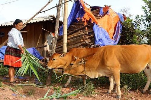 Hơn 6 triệu người đã thoát nghèo trong 4 năm