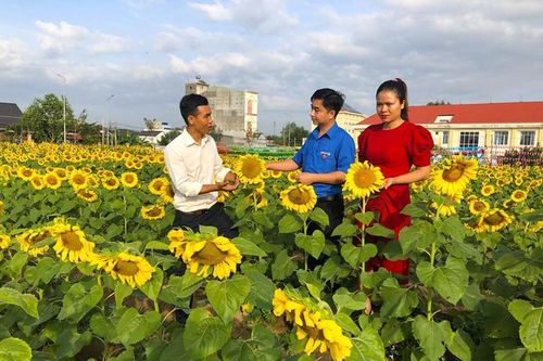 Kỹ sư 9X rời phố thị làm nông trại đẹp như 'thiên đường'