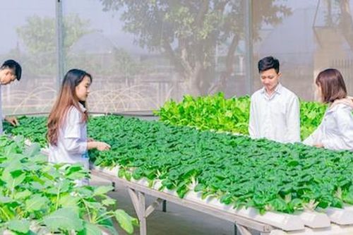 Nông nghiệp ứng dụng công nghệ cao: Đòn bẩy phát triển nông nghiệp số, nông nghiệp sạch