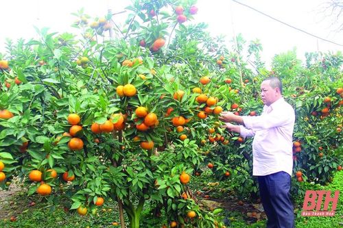 Sản phẩm OCOP ở khu vực miền núi: Tiềm năng lớn nhưng vẫn khó phát triển