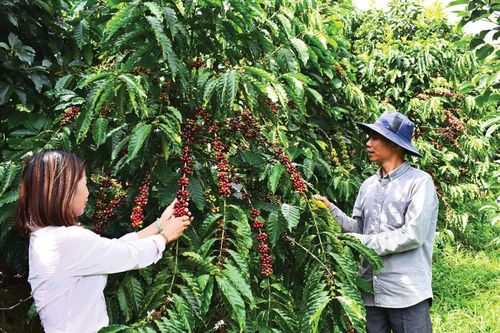 Năm mới - chuyển động mới nông nghiệp