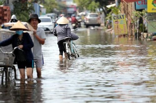 Thủ Đức: Triều cường dâng cao, đường và nhà dân ngập sâu gần 1 m