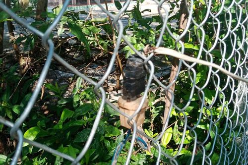 Người đàn ông tử vong khi kéo dây điện ra vườn