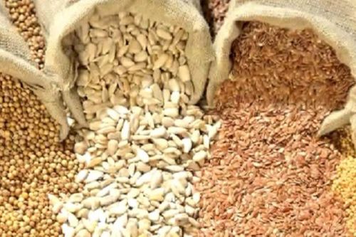 Xuất cấp hạt giống cây trồng cho 3 tỉnh