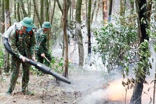 Quảng Ninh: Dập tắt đám cháy hơn 4ha rừng thông