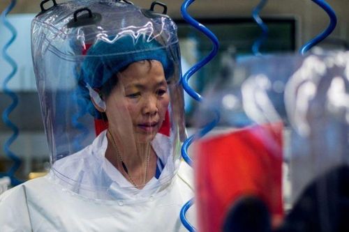 Dự báo thế giới 2021: Sự thật về Covid-19 sẽ được 'vén màn'?