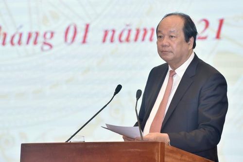 Bộ trưởng Mai Tiến Dũng giải thích về chỉ đạo của Thủ tướng 'cấm chặt đào rừng chơi Tết'