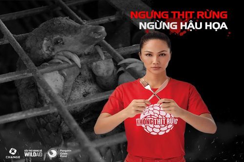 Người nổi tiếng kêu gọi không tiêu thụ động vật hoang dã dịp lễ, tết