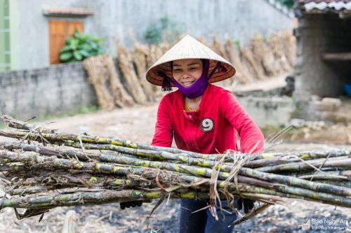 Làng nghề xứ Nghệ náo nức vào vụ Tết
