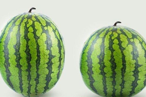 5 tuyệt chiêu chọn dưa hấu ngon, 'bách trúng bách thắng' của nông dân