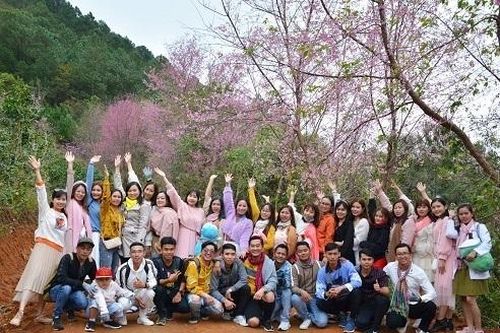 Đà Lạt đón 70.000 lượt khách dịp Tết Dương lịch 2021