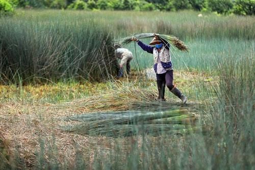 'Hồi sinh' sản phẩm thủ công mỹ nghệ ở vùng đất cỏ bàng