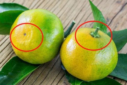Mua cam, nhìn vào chỗ này, thấy càng to chứng tỏ càng ngọt, phải chọn ngay