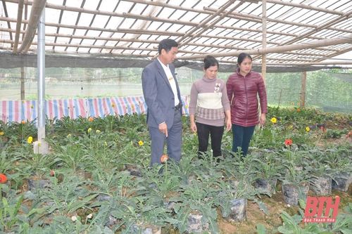 Trung tâm Hỗ trợ nông dân tỉnh làm tốt công tác dạy nghề, hỗ trợ nông dân