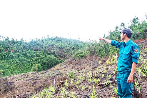 Bóc tách đất giao cho hộ đồng bào dân tộc thiểu số nghèo: Nhiều tồn tại cần giải quyết