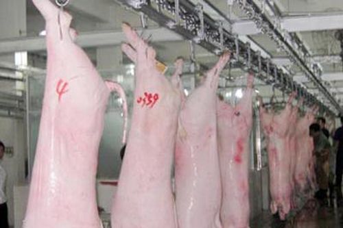 Vạn Ninh: Sẵn sàng cung ứng thịt heo dịp Tết