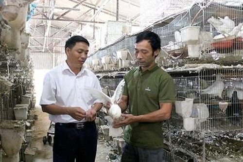 Tu Vũ tập trung phát triển kinh tế, nâng cao thu nhập