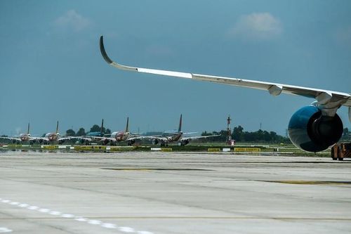 Nghi mèo chạy trong đường băng Nội Bài, nhiều chuyến bay phải chờ, đổi hướng