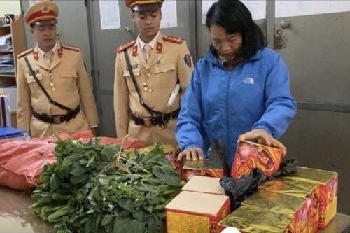 Nhồi nhét gần 15kg pháo trên xe khách để tiêu thụ dịp Tết