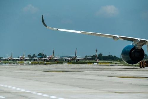Nghi có mèo chạy trên đường băng, một số chuyến bay phải đổi hướng