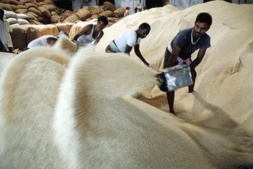 Sau nhiều thập kỷ, Việt Nam lần đầu mua gạo của Ấn Độ