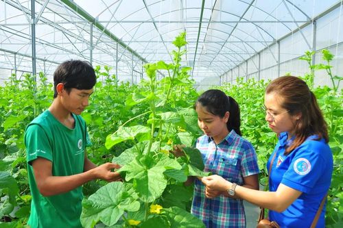 An Giang hỗ trợ hơn nửa tỷ đồng cho bạn trẻ vay vốn khởi nghiệp