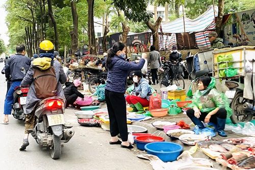 Hà Nội tái diễn 'chợ cóc' tự phát khi Tết Nguyên đán cận kề