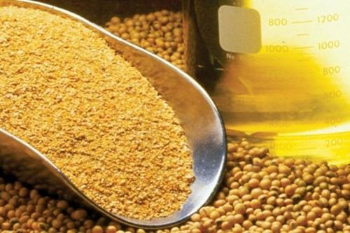 Nhóm các mặt hàng nông sản chốt phiên với diễn biến trái chiều (ngày 4/1/2021)