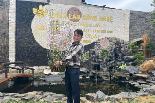 Đàm Rồng Nghệ nói về những thương vụ mua bán lan đột biến tiền tỷ