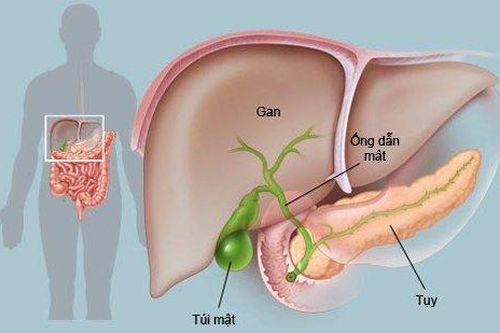 Bác sĩ chia sẻ bí quyết giảm nguy cơ mắc ung thư gan nguyên phát