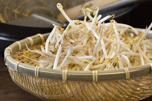 Ăn giá đỗ không đúng cách coi chừng trúng độc