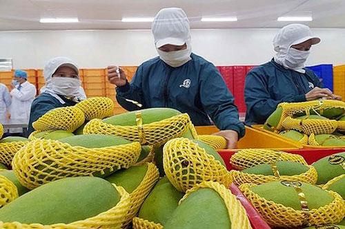 Xuất khẩu rau quả sang Thái Lan tăng hơn 140%