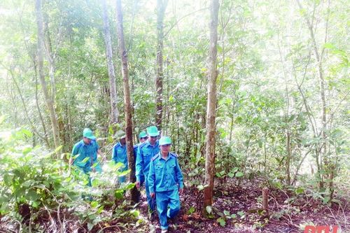 Công bố diện tích rừng, chủ rừng được chi trả tiền dịch vụ môi trường rừng