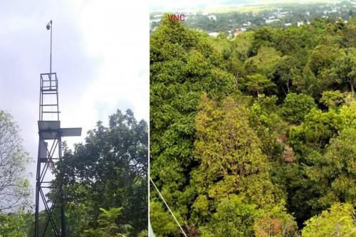 Camera AI của BKAV sẽ được lắp tại rừng quốc gia Phú Quốc để giám sát cảnh báo cháy rừng