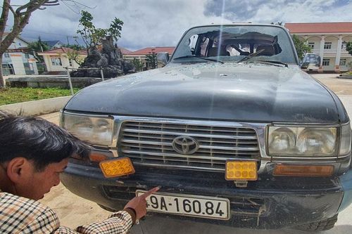 Xác minh vụ đập phá xe do tranh khách đi rừng mai anh đào