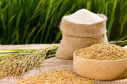 Giá lúa gạo 27/12: Gạo nguyên liệu và thành phẩm giảm