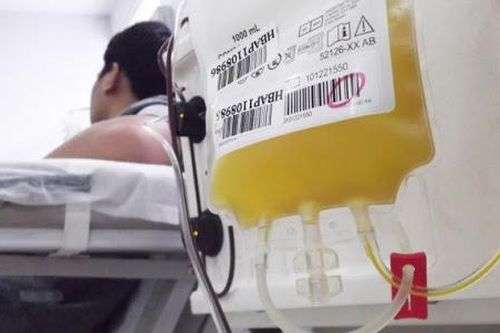 Làm gì để tận dụng hết nguồn huyết tương, tránh lãng phí?
