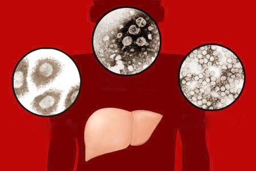 Một số bệnh nguy hiểm do virus gây ra
