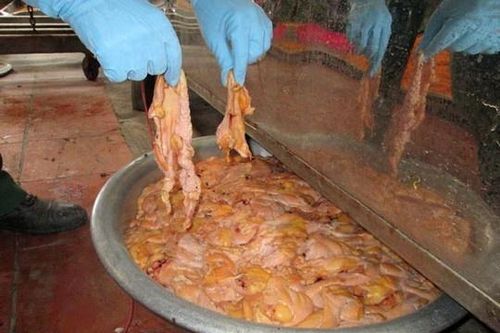 Phát hiện cơ sở chế biến thực phẩm ở TP.HCM có phân mèo