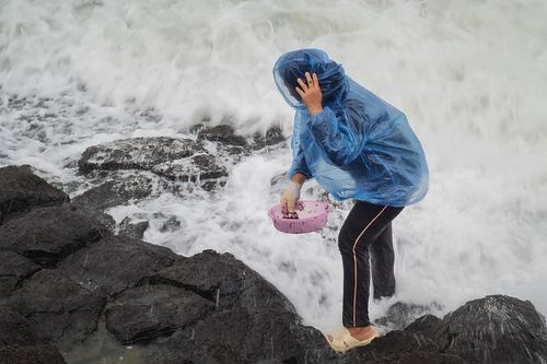 Nghề canh sóng