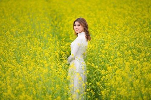 Nữ sinh Kinh Công đẹp dịu dàng giữa cánh đồng hoa cải vàng rực rỡ