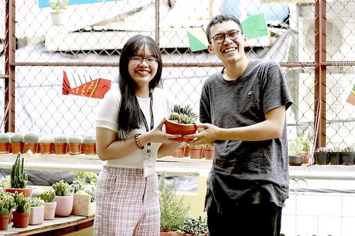 Nhà nhiều lá