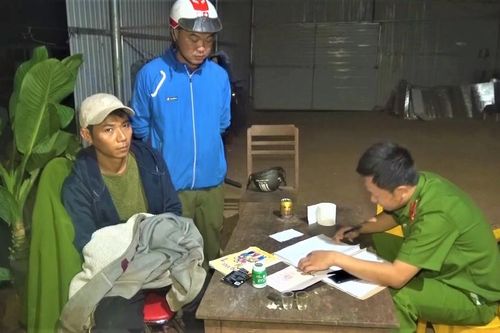 Tạm giữ hình sự đối tượng trồng hơn 1.000 cây cần sa