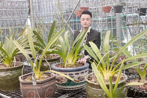8X Trần Ngọc Thành: Bắt đầu lại sự nghiệp với niềm đam mê hoa lan