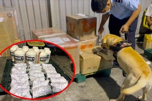 Bắt giữ thêm hơn 5 kg ma túy tại sân bay Tân Sơn Nhất