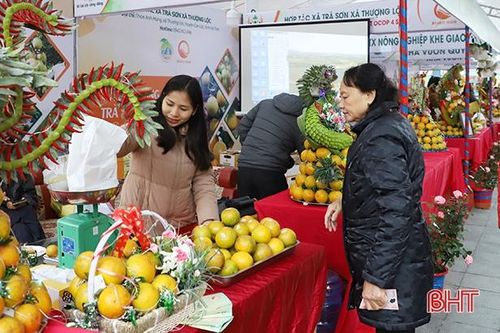 Nhiều cơ sở 'bội thu' nhờ Lễ hội Cam và các sản phẩm nông nghiệp Hà Tĩnh