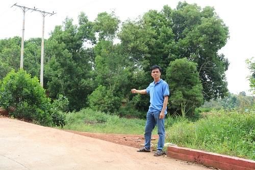 Đắk Nông: UBND huyện ra quyết định giải quyết tranh chấp có thấu tình đạt lý?