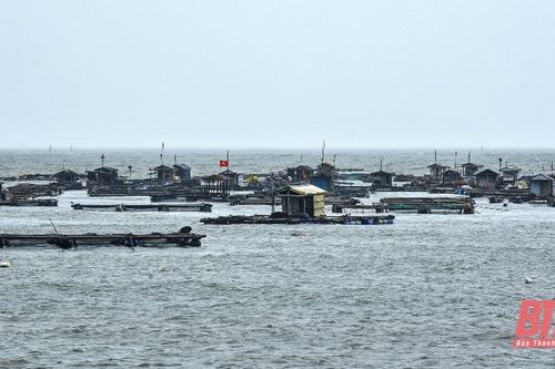 Quan trắc môi trường các vùng ven biển trên địa bàn tỉnh Thanh Hóa