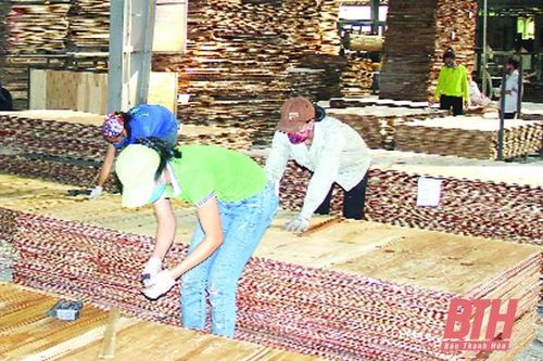 Huyện Thường Xuân: Giá trị sản xuất lâm nghiệp ước đạt trên 270 tỷ đồng