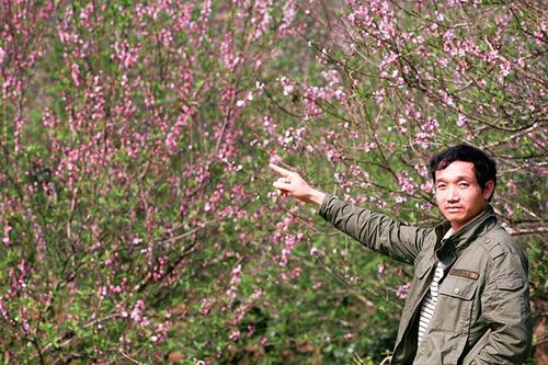Cấm đào rừng… Hiểu như thế nào cho đúng?